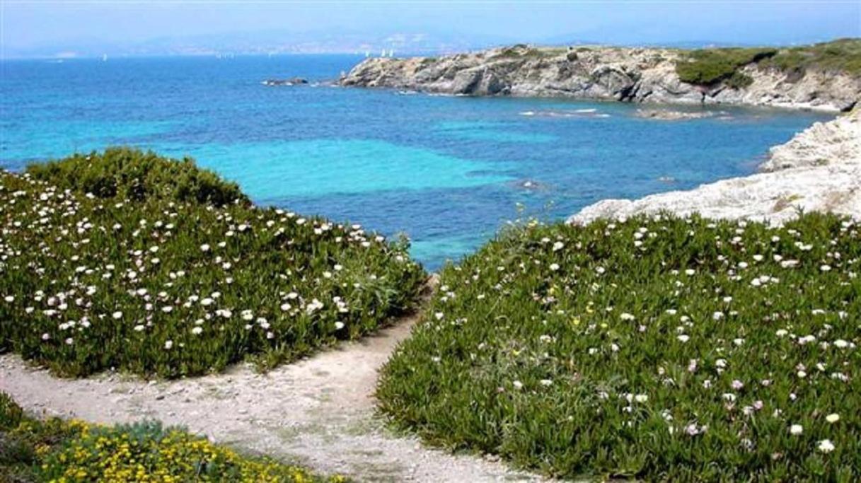 Villa Spacieuse, Climatisation, Piscine, Jardin Paysage, Proche Mer Saint-Cyr-sur-Mer Kültér fotó